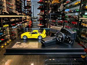 TOMICA STEERING VIEW