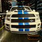 SHELBY F150 SUPER SNAKE