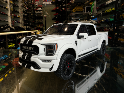 SHELBY F150