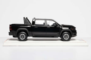 RAM TRX